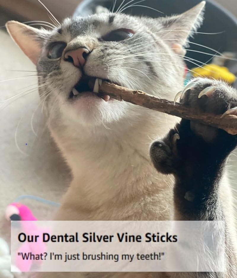 From The Field Silver Vine Sticks for Cats | Natural Dental Chew & Catnip Alternative | Ultimate Blend Marinated for Maximum Potency | Helps Clean Teeth & Promote Play | USA-Made Cat Chew Toy - Image 2